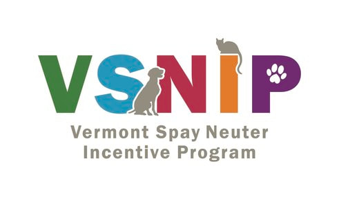 VSNIP Logo VSNIP Logo