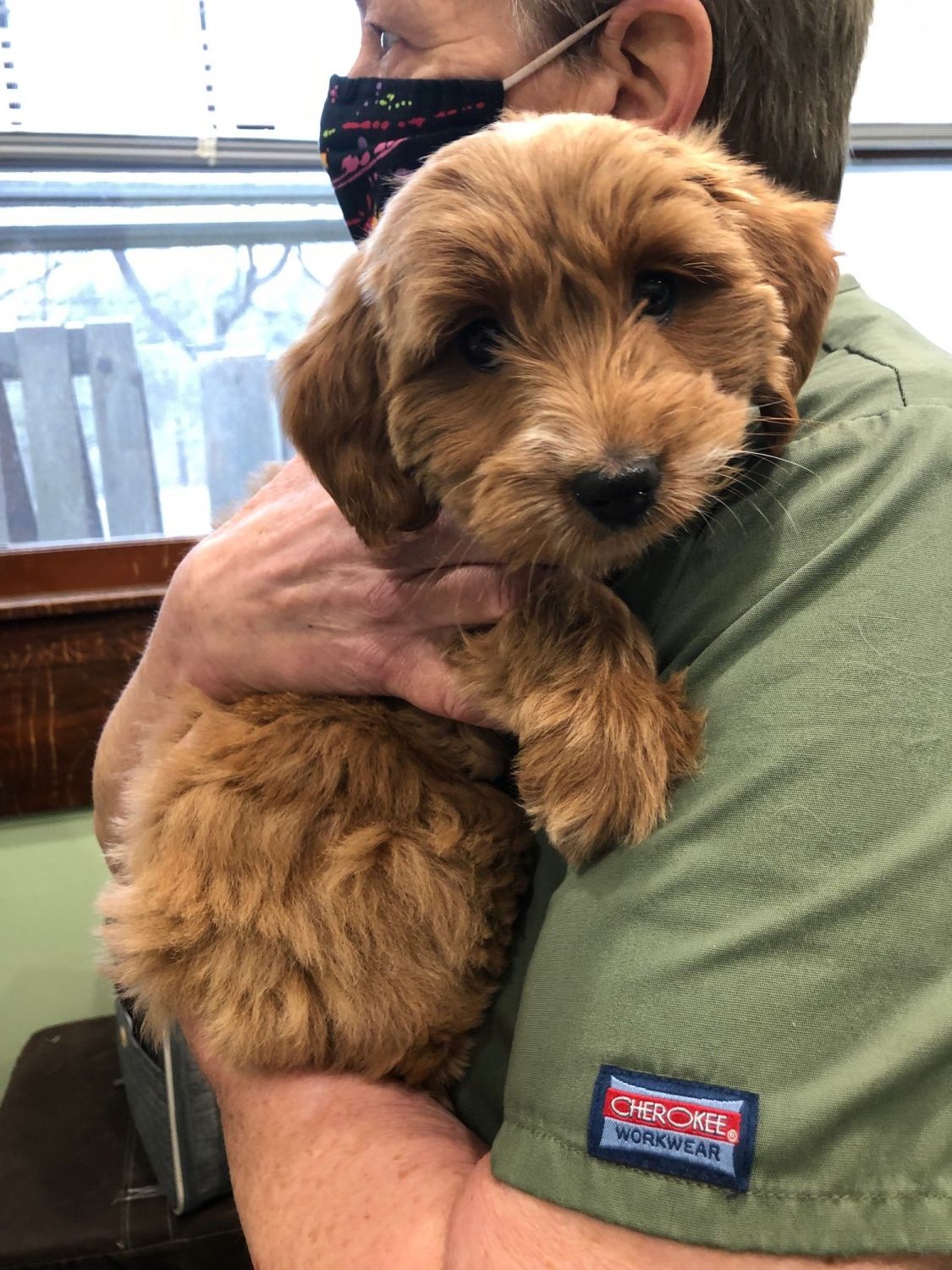 client holding puppy